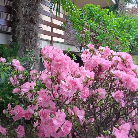 Residenza Vista Mozzafiato アパート Castello